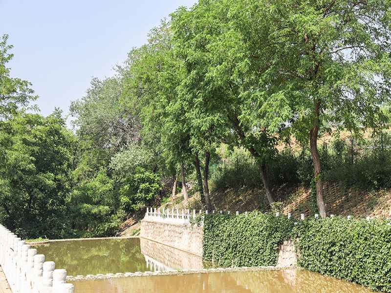 长安园骨灰林怎么样(成立时间是什么时候) 长安园骨灰林怎么样(成立时间是什么时候)
