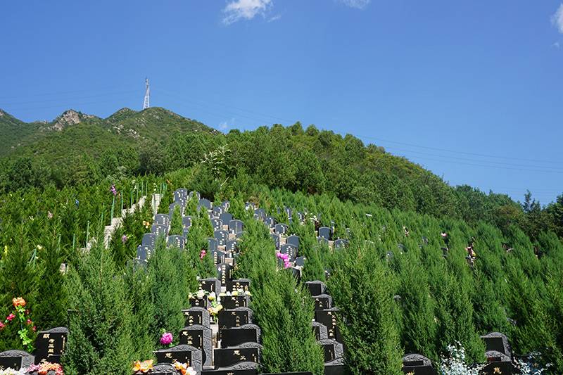 夏天如何进行遗体运输(遗体运输要注意什么) 夏天如何进行遗体运输(遗体运输要注意什么)