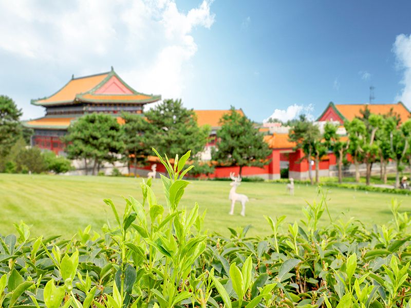 在陵园名气上,天寿陵园和佛山陵园哪个名气更大(天寿和佛山该如何选择) 在陵园名气上,天寿陵园和佛山陵园哪个名气更大(天寿和佛山该如何选择)