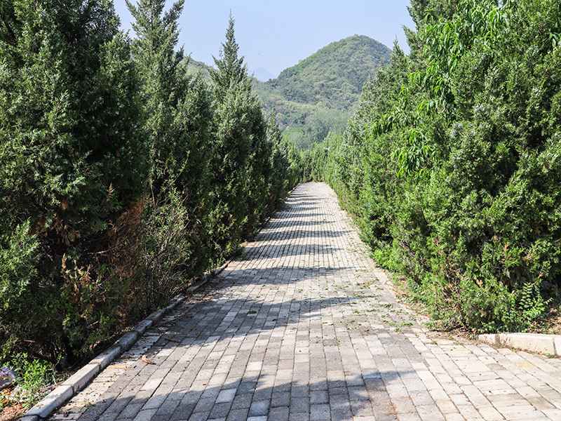 景仰园和华人怀思堂,各自有什么优点(两者该怎么选) 景仰园和华人怀思堂,各自有什么优点(两者该怎么选)