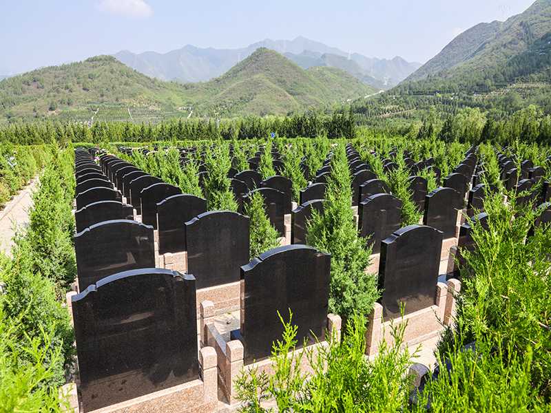 在陵园上,天寿陵园和景仰园哪个更出色(天寿和景仰园如何选择) 在陵园上,天寿陵园和景仰园哪个更出色(天寿和景仰园如何选择)