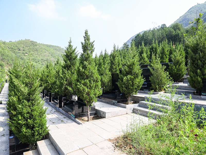 景仰园是生态墓地吗(景仰园的价格是多少) 景仰园是生态墓地吗(景仰园的价格是多少)
