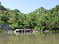 九公山纪念林哪个墓位比较有名(九公山纪念林的价格是多少) 九公山纪念林哪个墓位比较有名(九公山纪念林的价格是多少)
