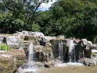 九公山纪念林该怎么去(九公山纪念林交通便利吗) 九公山纪念林该怎么去(九公山纪念林交通便利吗)