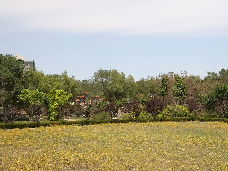 潮白陵园环境怎么样(潮白陵园价格多少) 潮白陵园环境怎么样(潮白陵园价格多少)
